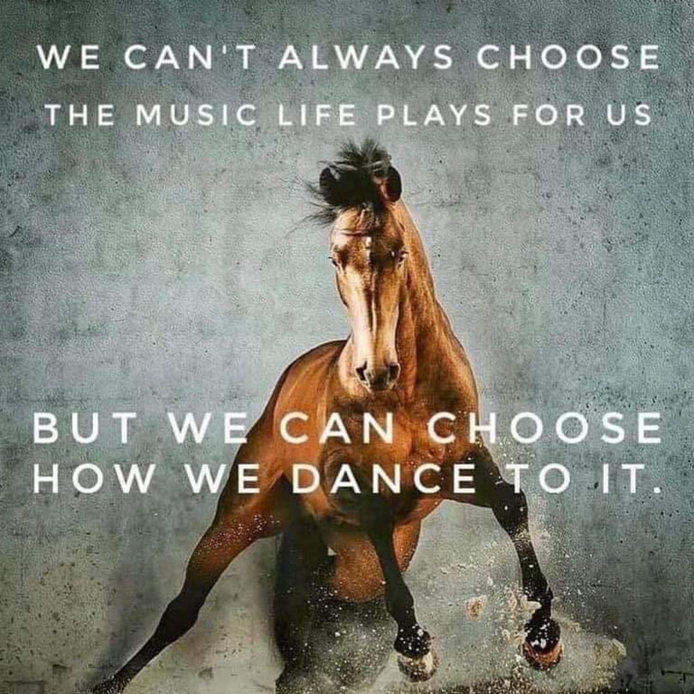 A little COWGIRL MOTIVATION - Picture 13 of 16